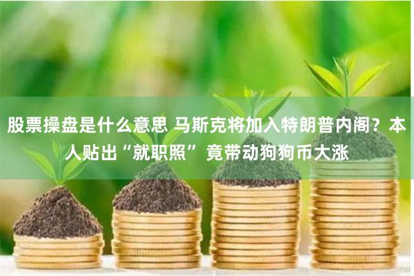 股票操盘是什么意思 马斯克将加入特朗普内阁？本人贴出“就职照” 竟带动狗狗币大涨