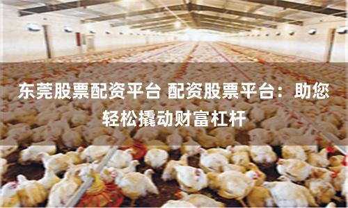东莞股票配资平台 配资股票平台：助您轻松撬动财富杠杆