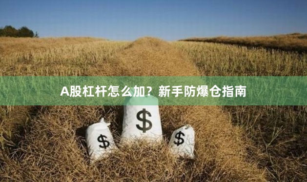 A股杠杆怎么加？新手防爆仓指南